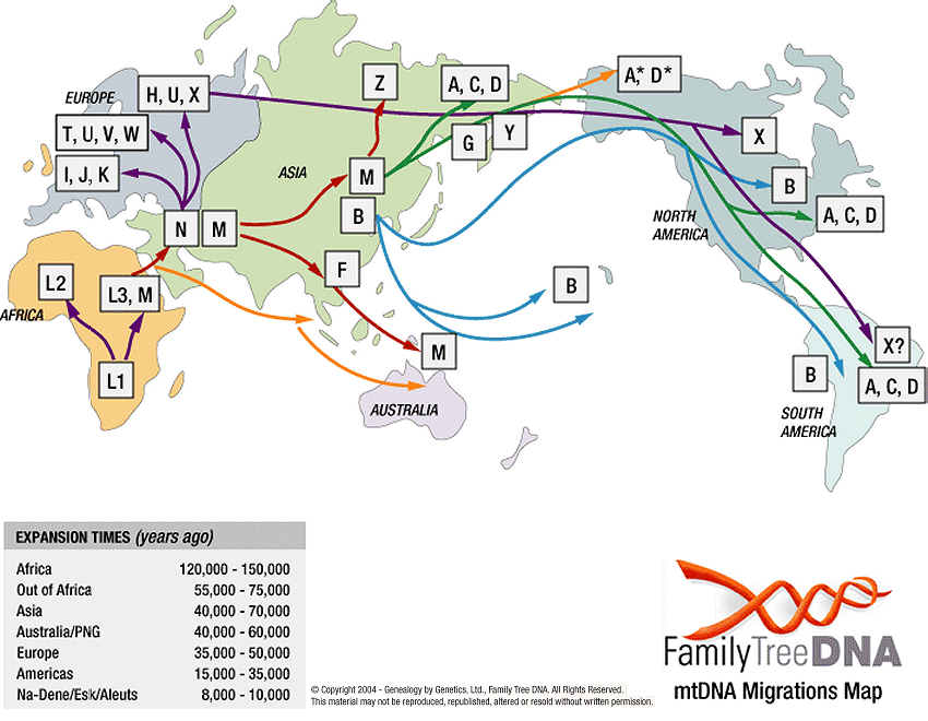 Family Tree DNA's map showing the worldwide distribution of mitochondrial DNA. I've tested with them and can recommend them.