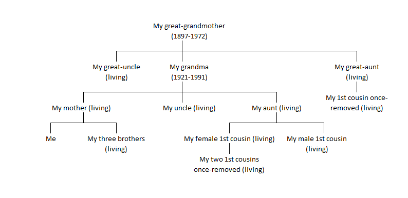 Everyone in this chart has, or had, mtDNA haplogroup H1g.