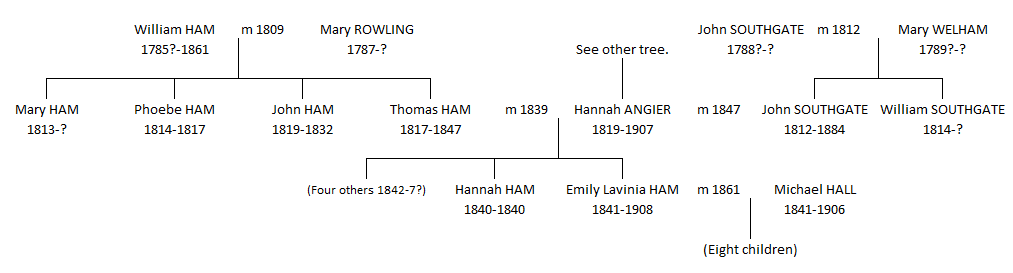 Hannah Southgate tree 2