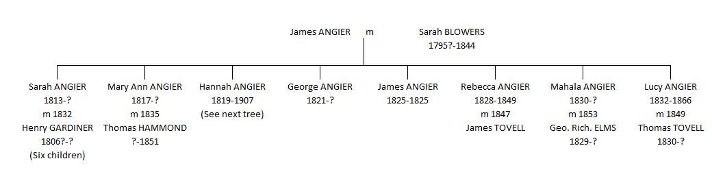 Hannah Southgate tree 1